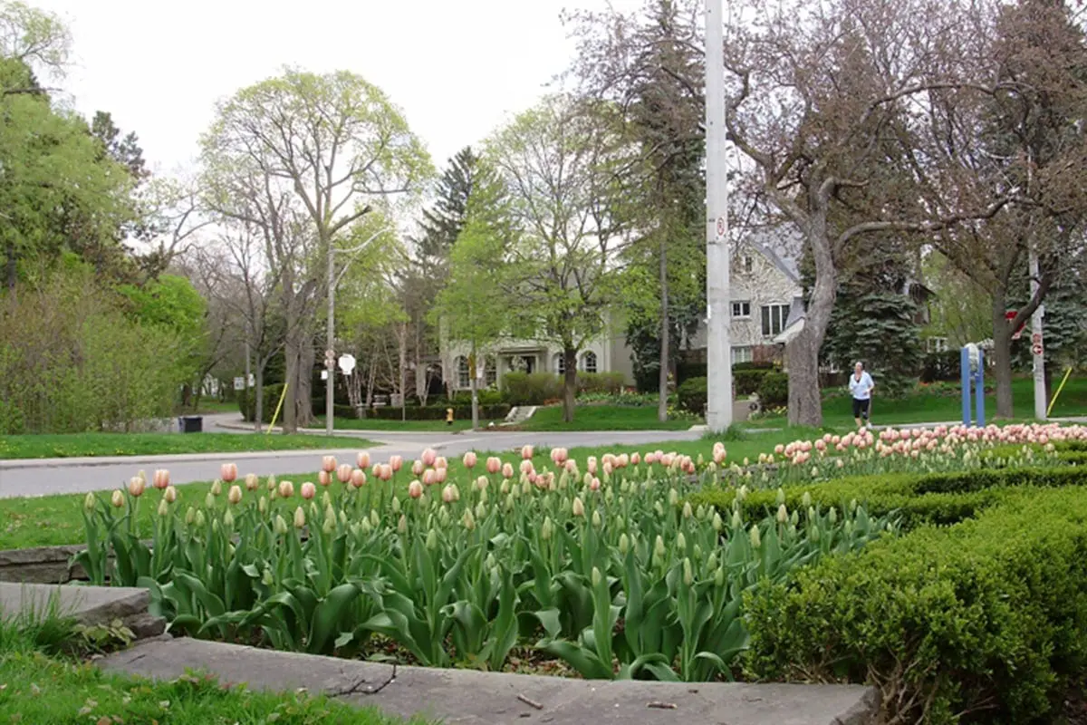 Living in Lytton Park: Your Guide to | Agent Olena