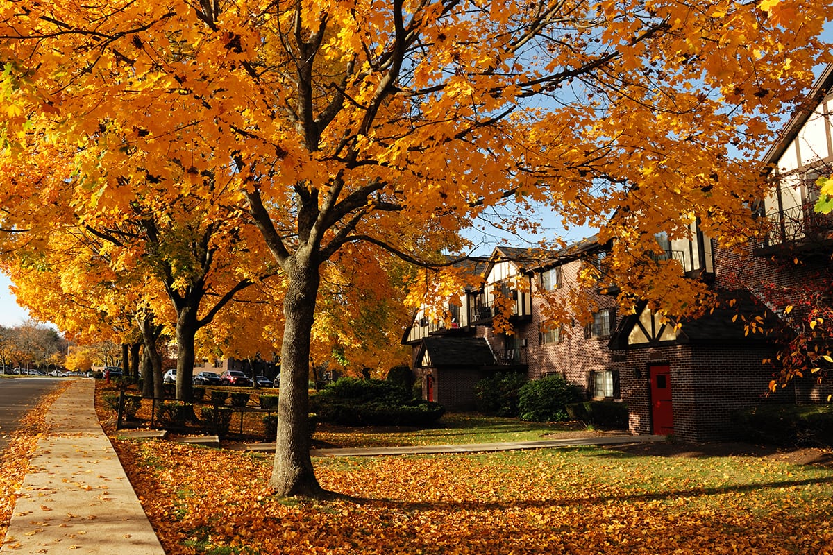 Benefits of Selling Your Home in Fall: Why List in Fall | Agent Olena
