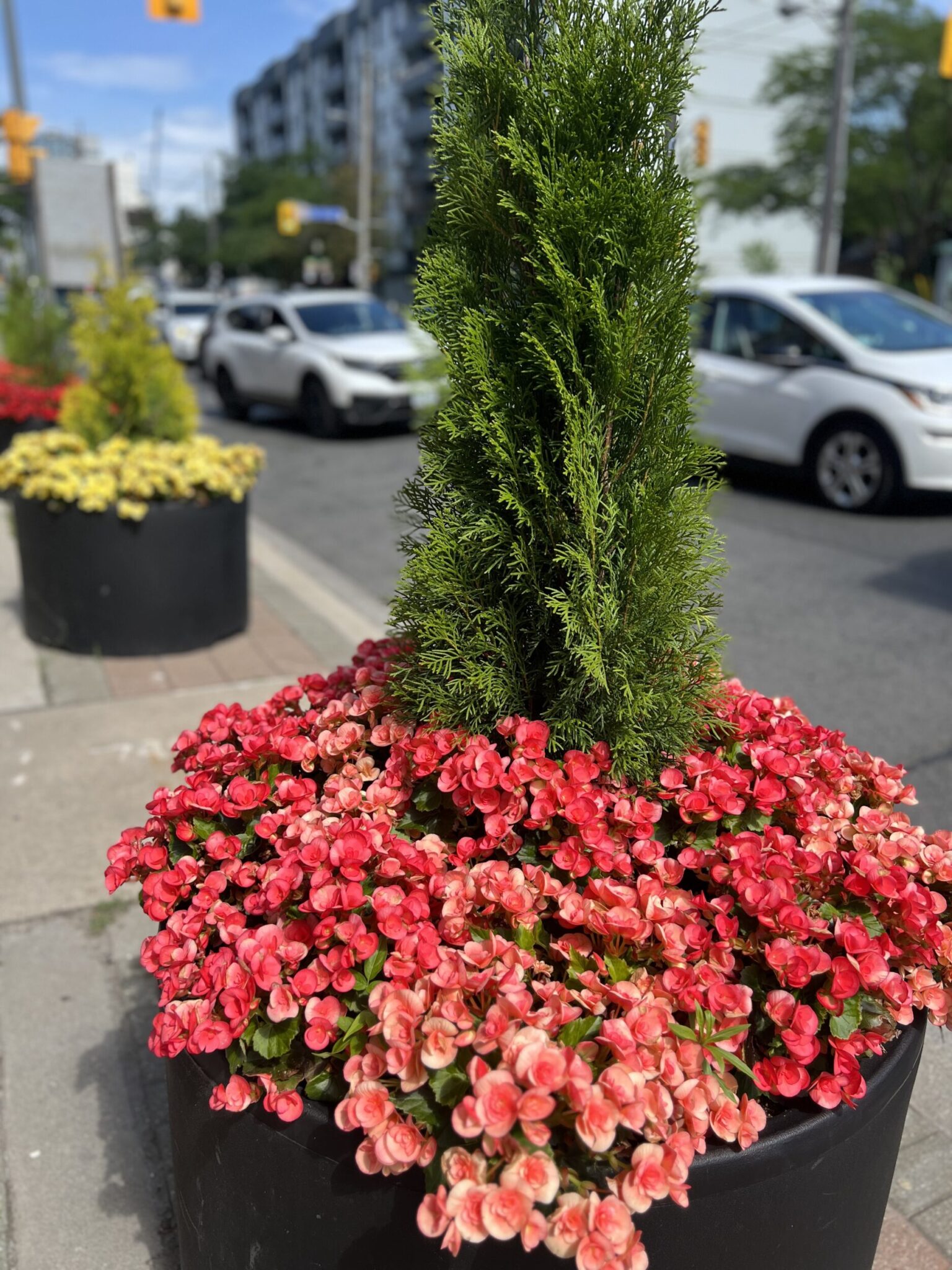 Toronto's Hidden Gems | Toronto Relocation Realtor